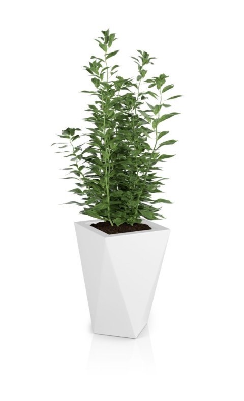 Designerska donica MONUMO VASO Biała Designerska donica MONUMO VASO Biała