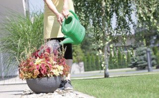 KONEWKA PLASTIKOWA 14L SPRING - ZIELONY