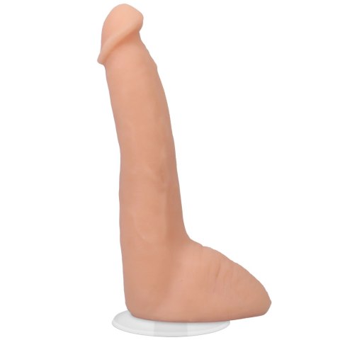 Doc Johnson - Realistyczne dildo Roman Todd 20 cm Doc Johnson - Realistyczne dildo Roman Todd 20 cm