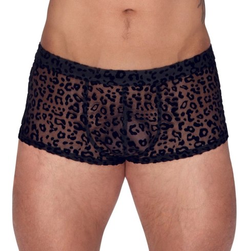 Noir - Seksowne Prześwitujące Bokserki Męskie Panterka Czarne 2XL Noir - Seksowne Prześwitujące Bokserki Męskie Panterka Czarne 2XL