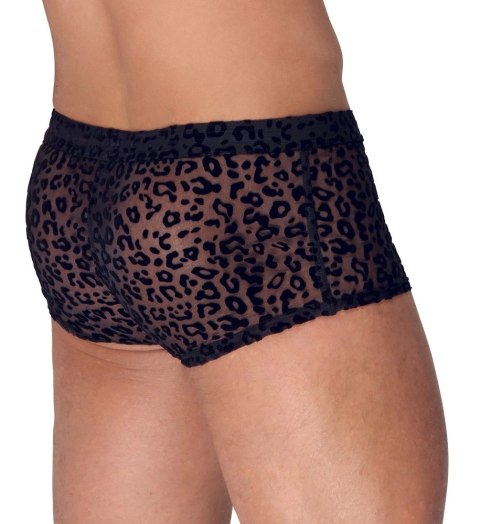 Noir - Seksowne Prześwitujące Bokserki Męskie Panterka Czarne 2XL Noir - Seksowne Prześwitujące Bokserki Męskie Panterka Czarne 2XL