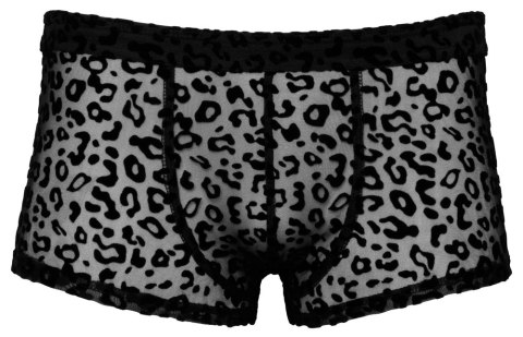 Noir - Seksowne Prześwitujące Bokserki Męskie Panterka Czarne 2XL Noir - Seksowne Prześwitujące Bokserki Męskie Panterka Czarne 2XL