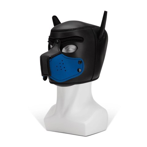 Kaganiec Puppy Prowler Red Kaganiec Puppy Prowler Red
