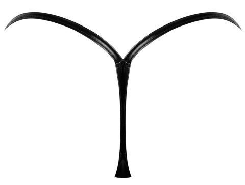Noir - Seksowne Rozpinane Stringi Z Czarnych Paseczków S/M Noir - Seksowne Rozpinane Stringi Z Czarnych Paseczków S/M