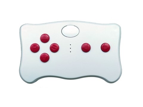 Pilot TX10 do pojazdu na akumulator 2.4G z modułem FCC Pilot TX10 do pojazdu na akumulator 2.4G z modułem FCC