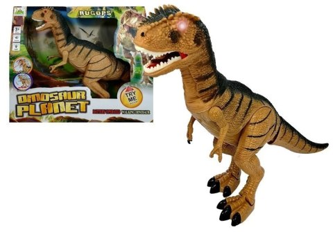 Dinozaur Tyranozaur Porusza się Ryczy Świeci Dinozaur Tyranozaur Porusza się Ryczy Świeci