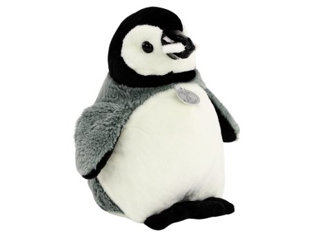 Pluszowy Pingwin Maskotka Przytulanka Pluszak Szary 30 cm Pluszowy Pingwin Maskotka Przytulanka Pluszak Szary 30 cm