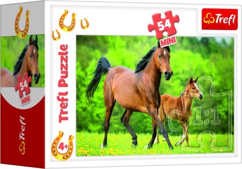 Puzzle "54 mini" - Świat koni / Trefl 54193