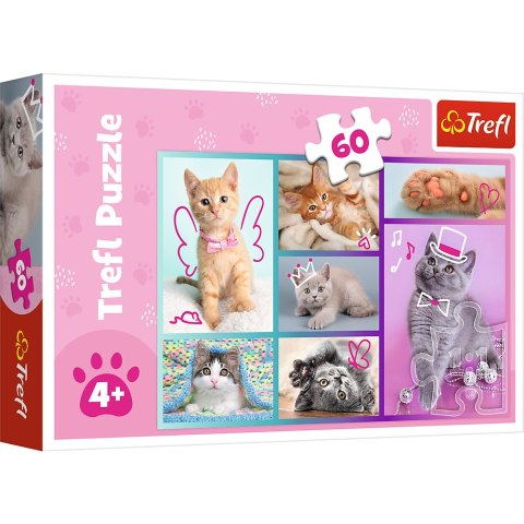 Puzzle - "60"- Słodkie kociaki / Trefl 17373