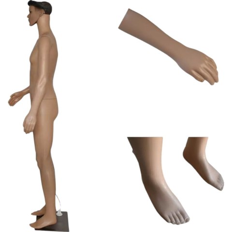 Manekin m臋ski 190 cm pe艂nopostaciowy realistyczny lekki demontowalny Manekin m臋ski 190 cm pe艂nopostaciowy realistyczny lekki demontowalny