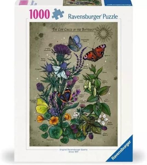 Puzzle 1000 Cykl życia motyla Puzzle 1000 Cykl życia motyla