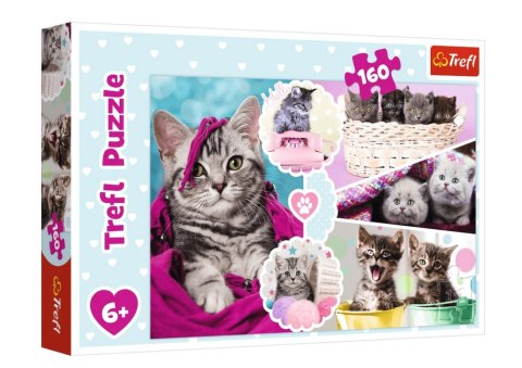 Puzzle 160 el. Urocze kotki Trefl 15371 Puzzle 160 el. Urocze kotki Trefl 15371