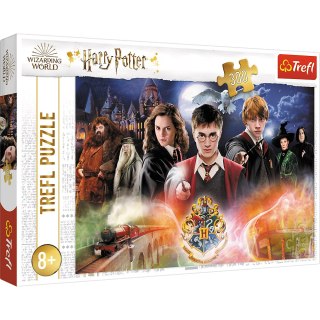 Puzzle Harry Potter 300 el. Tajemniczy Harry Potter 23001