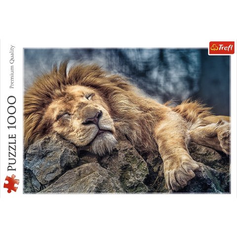 Puzzle - 1000 - Śpiący lew / 500 px 10447 Puzzle - 1000 - Śpiący lew / 500 px 10447