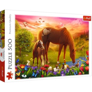 Puzzle - 500 - Konie na łące Trefl 37451