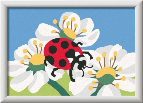 CreArt dla dzieci: Wild Animals Biedronka CreArt dla dzieci: Wild Animals Biedronka