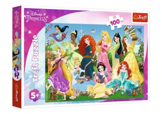 Puzzle - 100 - Czarujące Księżniczki - Disney Princess - 16417