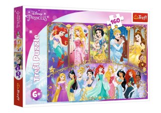 Puzzle - 160 - Portrety Księżniczek - Disney Princess - 15407