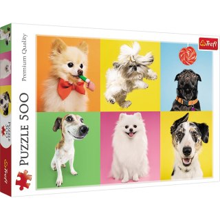 Puzzle 500 el. Psy - 37378