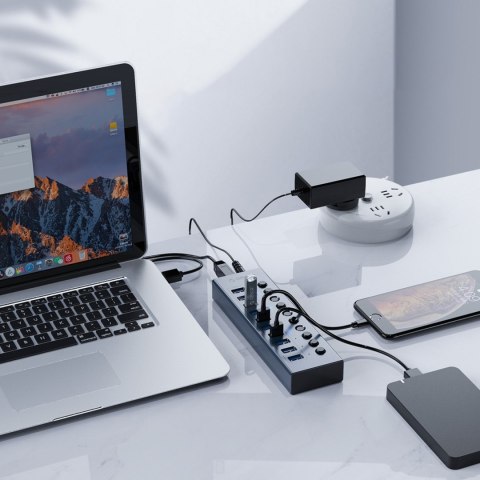 Hub BT2U3-16AB z włącznikami 16x USB-A - szary Hub BT2U3-16AB z włącznikami 16x USB-A - szary