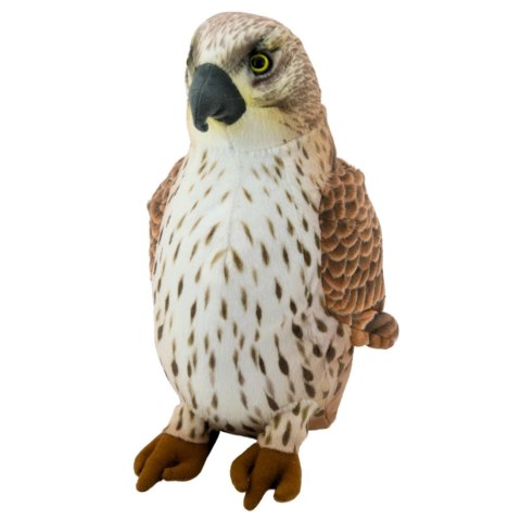 Pluszowa Maskotka Przytulanka Ptak Sokół Wędrowny Brązowy 30cm Pluszowa Maskotka Przytulanka Ptak Sokół Wędrowny Brązowy 30cm