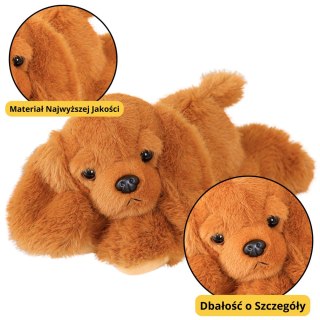 Pluszowy Piesek Cocker Spaniel Z Obciążonymi Łapami Brązowy 30cm