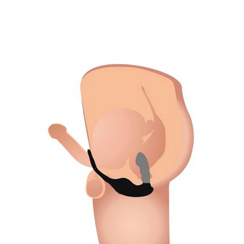 Dojmujący i wibrujący masażer prostaty + uprząż z 7 prędkościami Xr Brands Dojmujący i wibrujący masażer prostaty + uprząż z 7 prędkościami Xr Brands