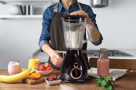 BLENDER BERLINGER HAUS BH-9025 BLACK ROSE BLENDER BERLINGER HAUS BH-9025 BLACK ROSE