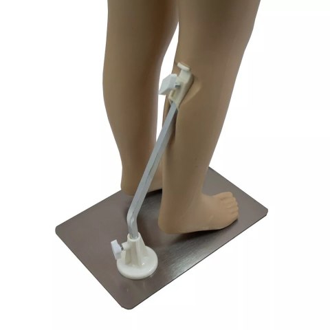 Manekin Wystawowy Dziecięcy Dziewczynka 140 cm z Ruchomymi Rękami i Głową Manekin Wystawowy Dziecięcy Dziewczynka 140 cm z Ruchomymi Rękami i Głową