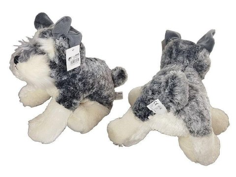 Pies pluszowy 26x19cm