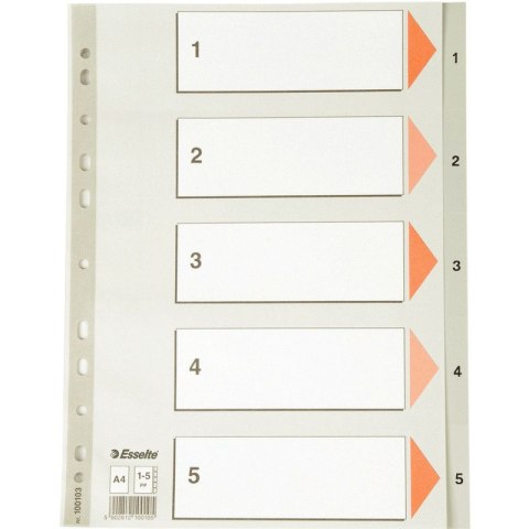 PRZEKŁADKI PP ESSELTE A4 1-5