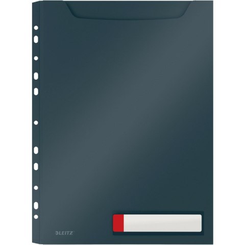 Koszulki PP Leitz Cosy A4/200µm 150k szare (3)