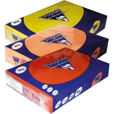 Papier Trophee A4/80g pomarańczowy (500)