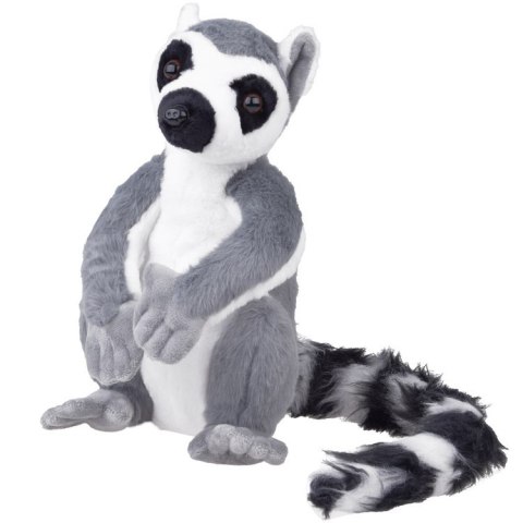 Maskotka duży pluszowy Lemur z Madagaskaru siedzący 27cm 14159