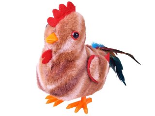 Dreptający KOGUT Bogdan kukuryku! - pieje i macha skrzydłami ZA6018