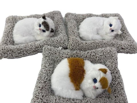 Kotek pluszowy na poduszce z dźwiękiem MIX